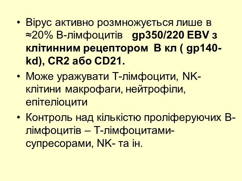 Вірус активно розмножується лише в ≈20% В-лімфоцитів   gp350/220 EBV з клітинним рецептором